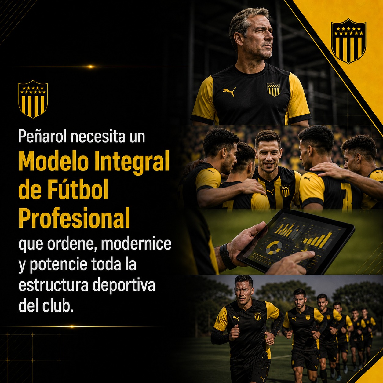 Espacio Aurinegro 135